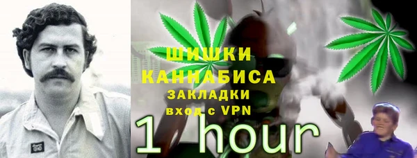 Альфа ПВП Пестово