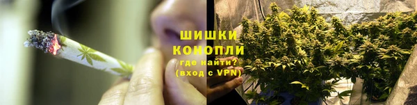 прущие грибы Пересвет