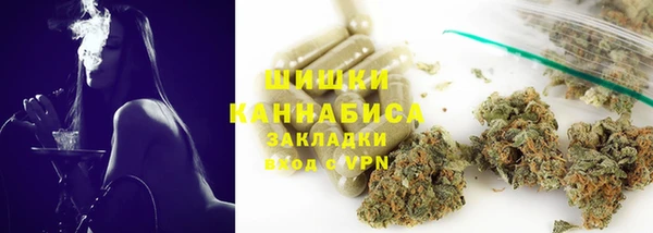 прущие грибы Пересвет