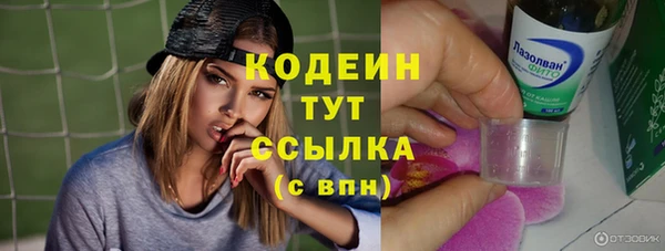 прущие грибы Пересвет