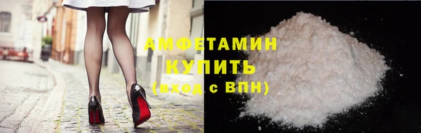 прущие грибы Пересвет