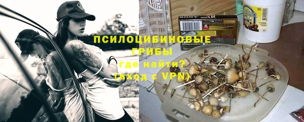 прущие грибы Пересвет