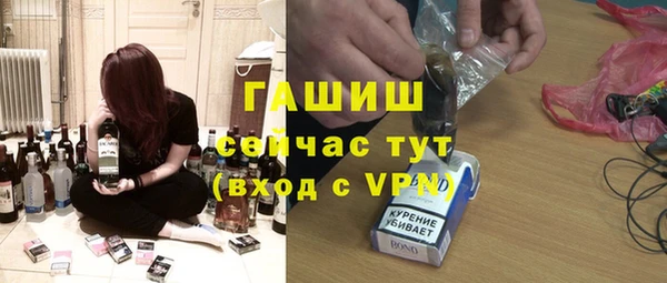 прущие грибы Пересвет