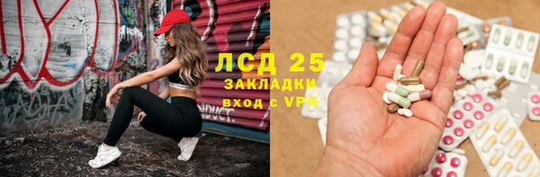 прущие грибы Пересвет