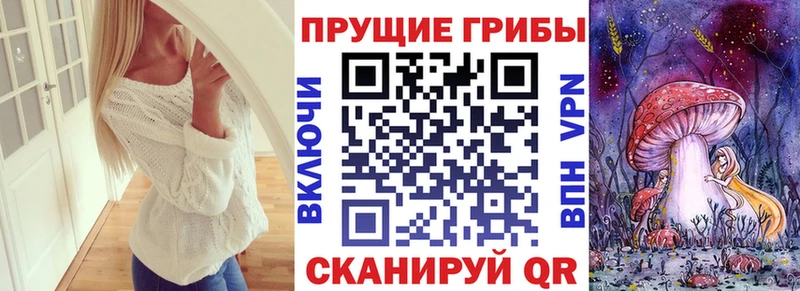 дарнет шоп  Вязьма  Псилоцибиновые грибы MAGIC MUSHROOMS 