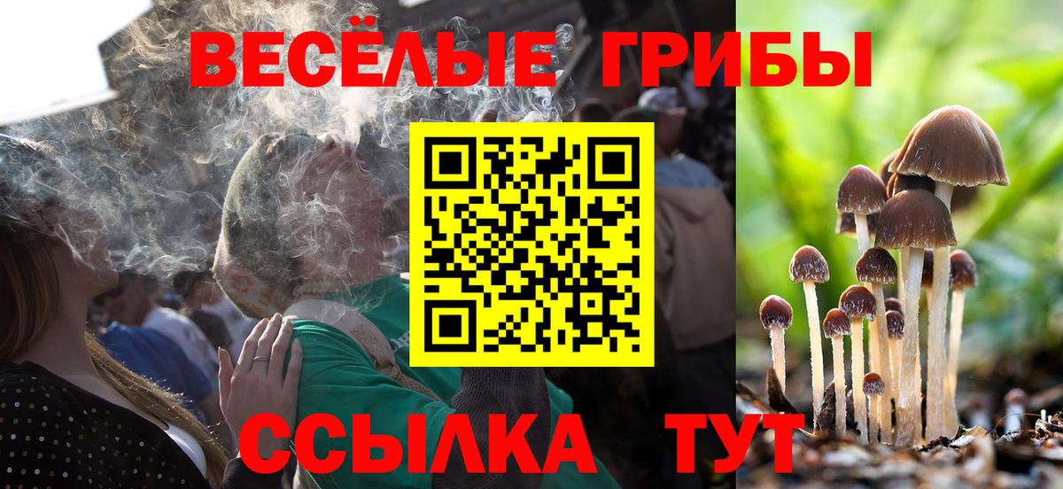 Вязьма  Галлюциногенные грибы ЛСД  Вход с VPN 