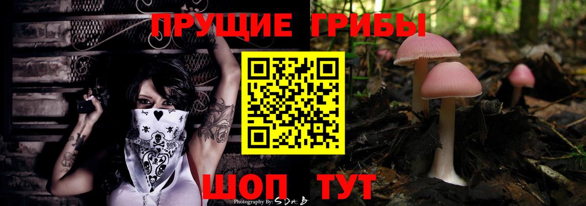 Галлюциногенные грибы Cubensis Вязьма